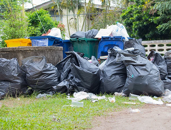 Same Day Junk Removal Service in Lantana FL